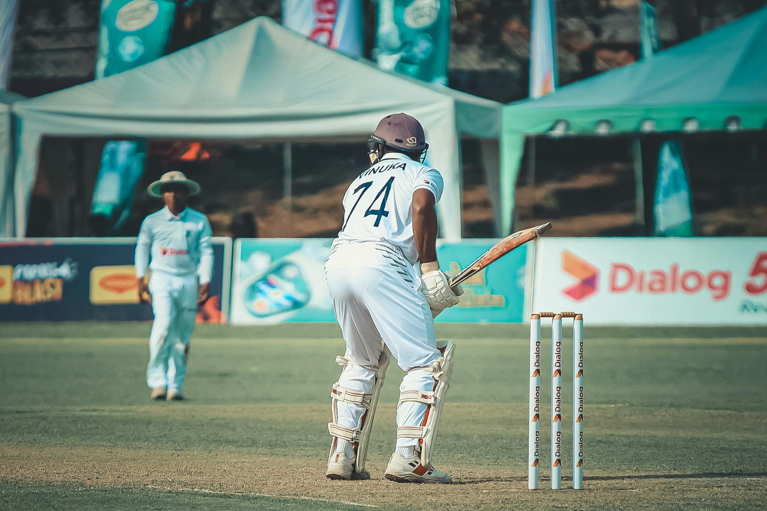 Cricket